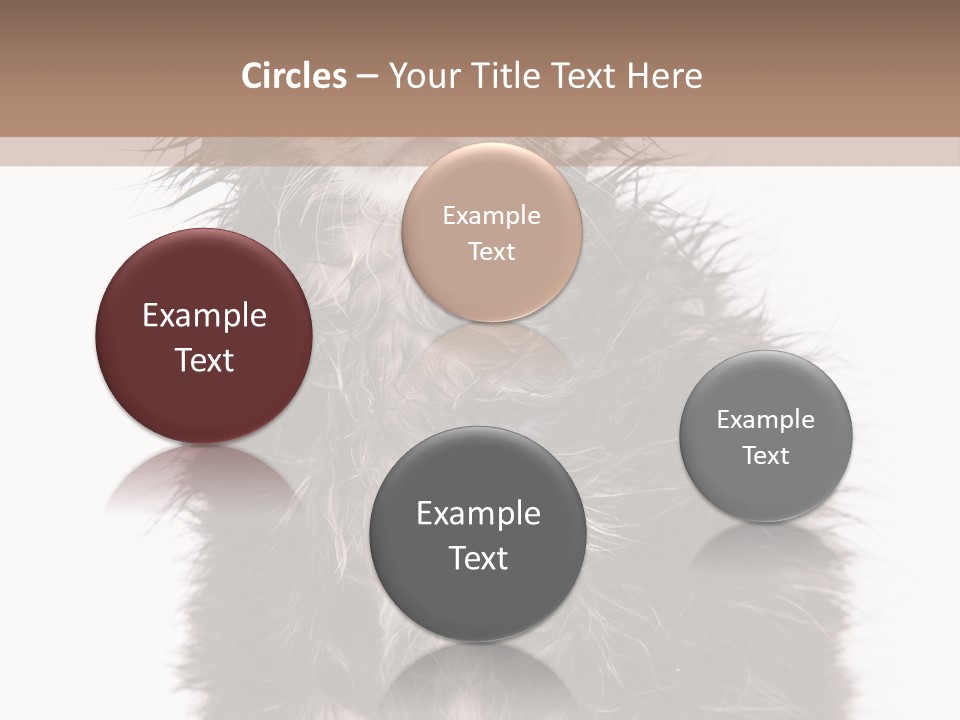 Cute Cat Adorable PowerPoint Template