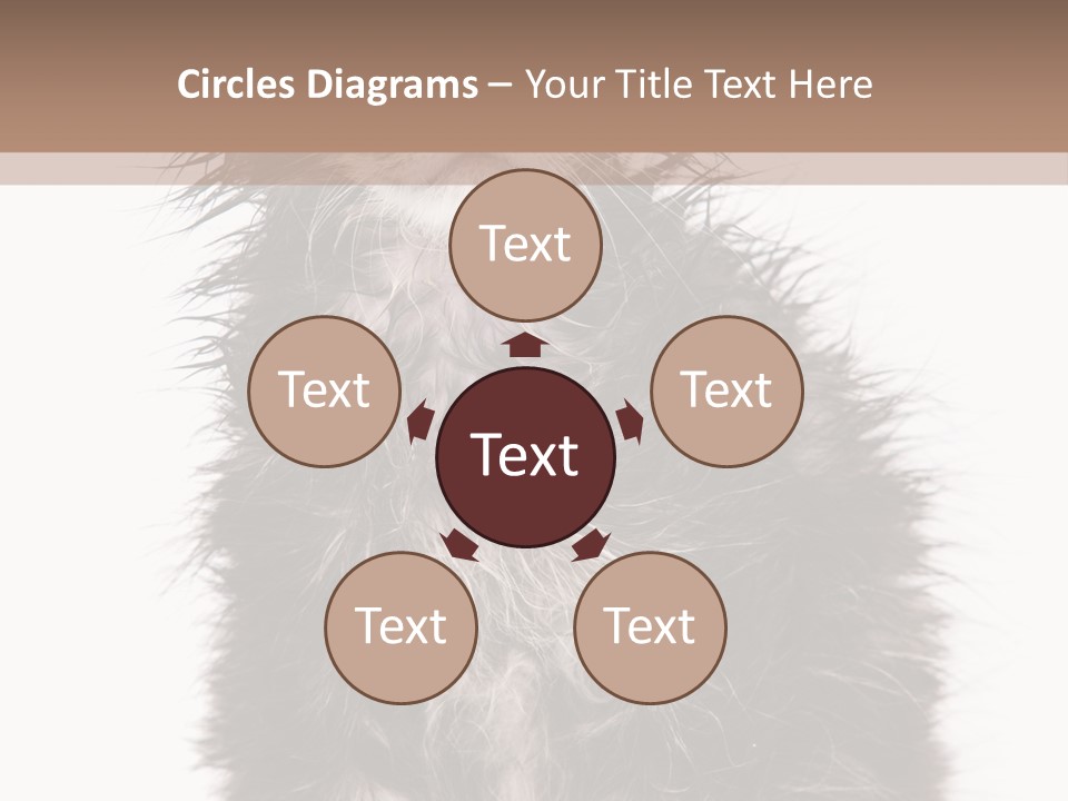 Cute Cat Adorable PowerPoint Template