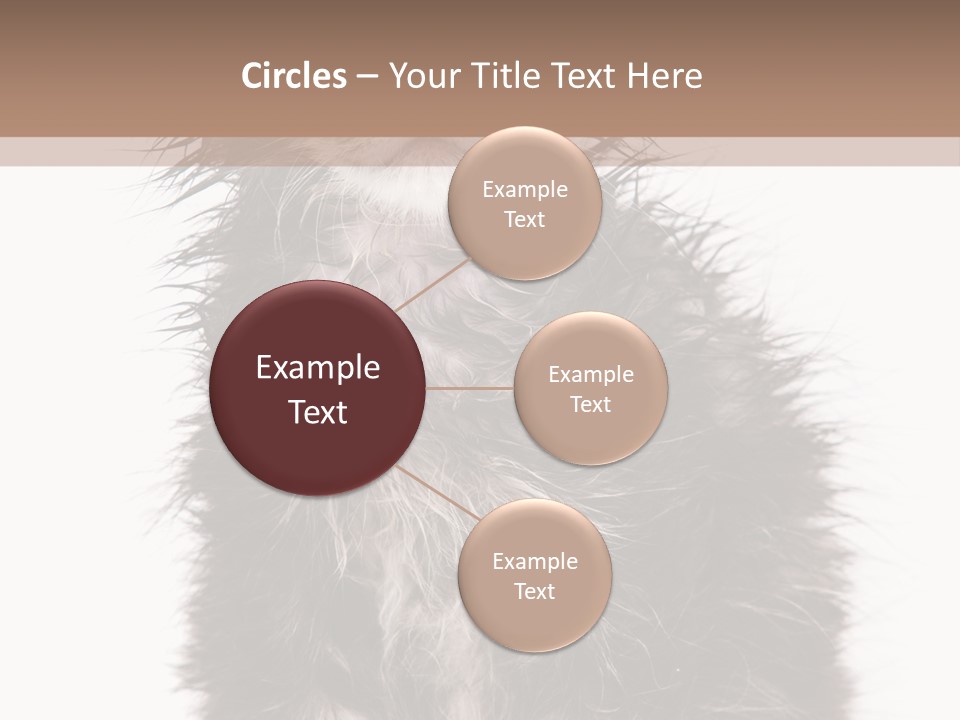 Cute Cat Adorable PowerPoint Template