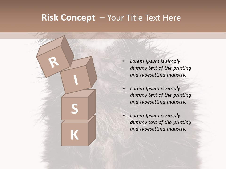 Cute Cat Adorable PowerPoint Template