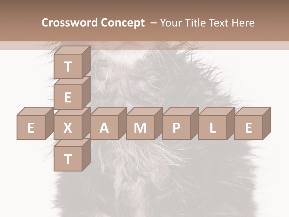 Cute Cat Adorable PowerPoint Template