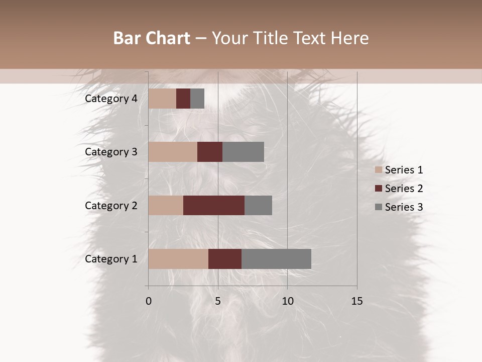Cute Cat Adorable PowerPoint Template