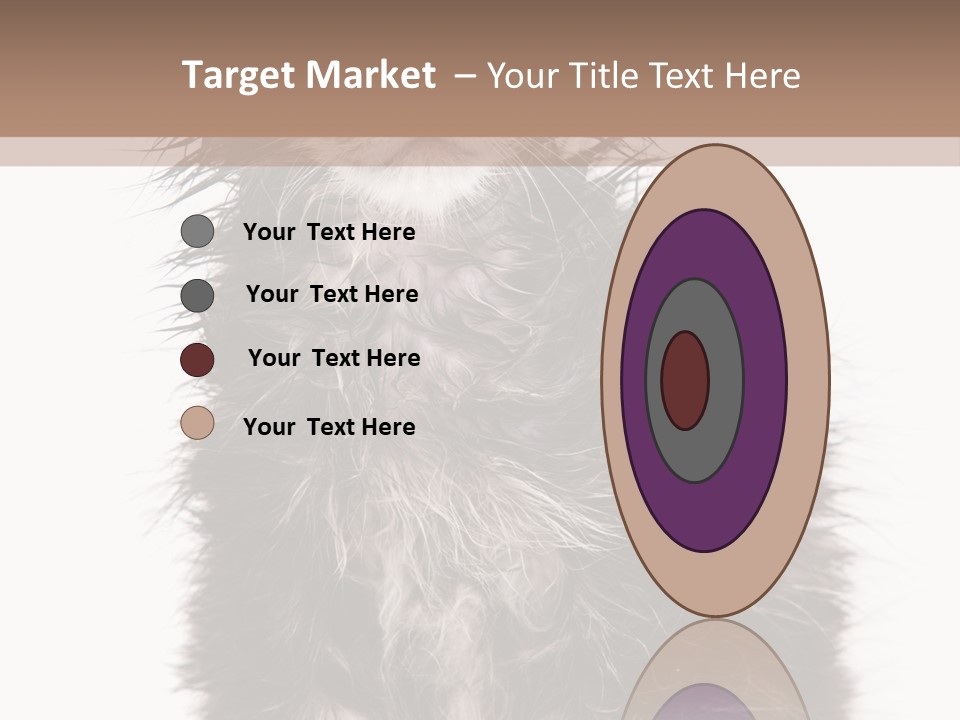 Cute Cat Adorable PowerPoint Template