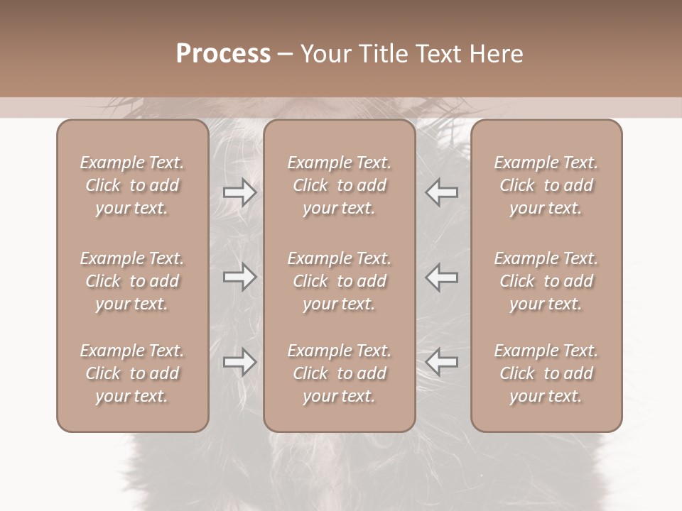 Cute Cat Adorable PowerPoint Template