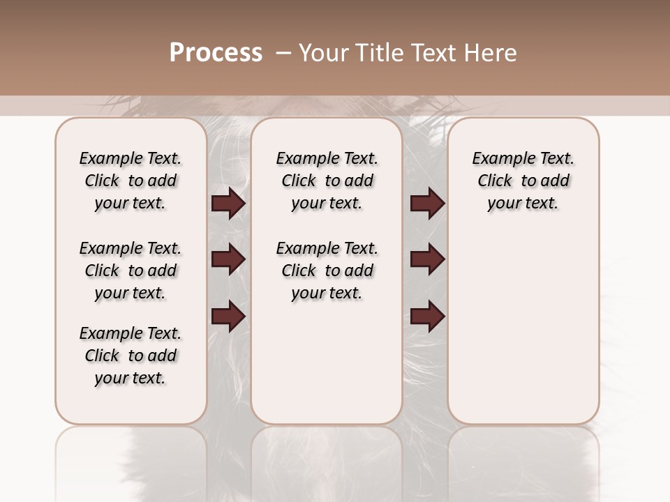 Cute Cat Adorable PowerPoint Template