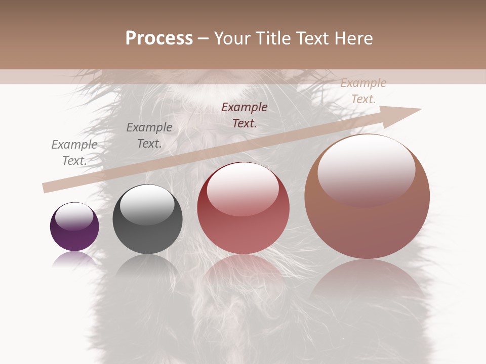 Cute Cat Adorable PowerPoint Template