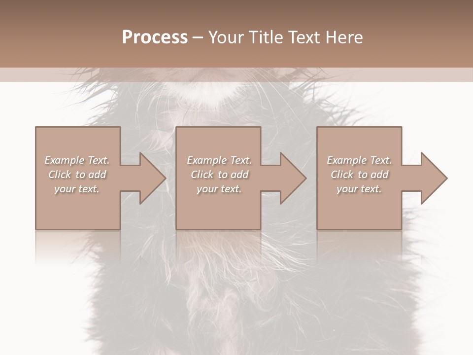 Cute Cat Adorable PowerPoint Template