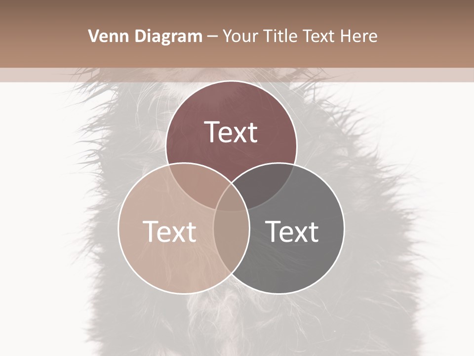 Cute Cat Adorable PowerPoint Template