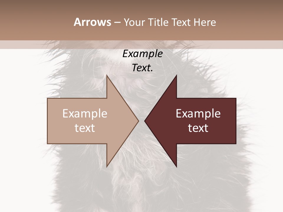 Cute Cat Adorable PowerPoint Template