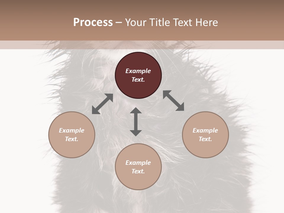 Cute Cat Adorable PowerPoint Template