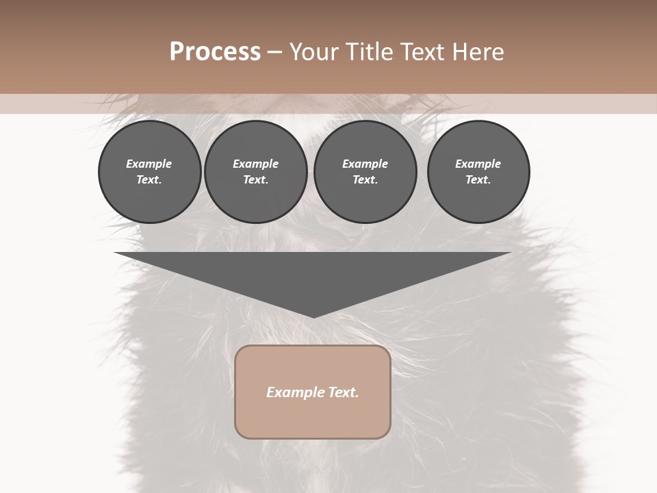 Cute Cat Adorable PowerPoint Template