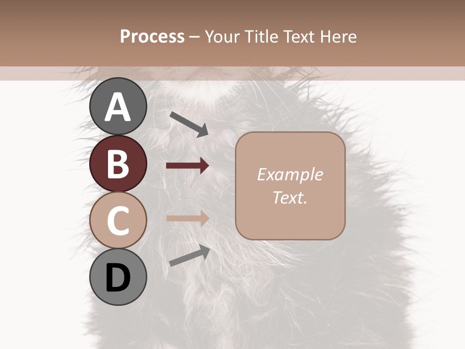 Cute Cat Adorable PowerPoint Template