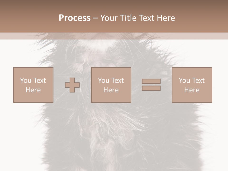 Cute Cat Adorable PowerPoint Template