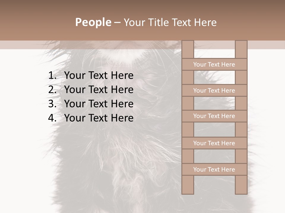 Cute Cat Adorable PowerPoint Template