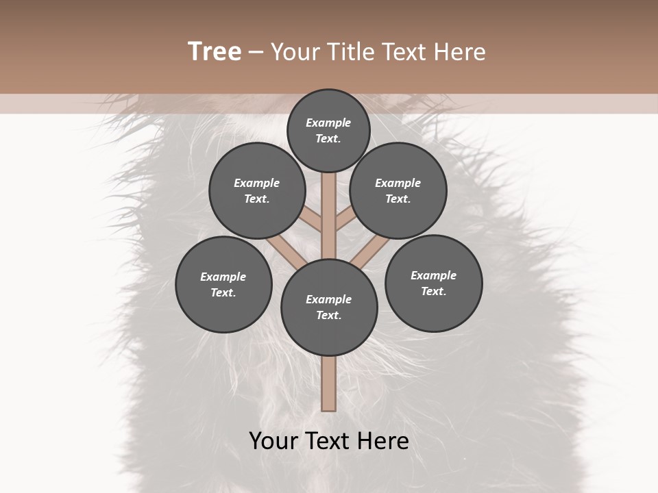 Cute Cat Adorable PowerPoint Template