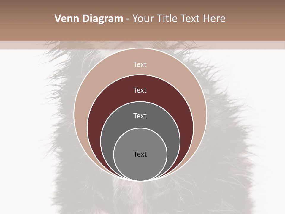 Cute Cat Adorable PowerPoint Template