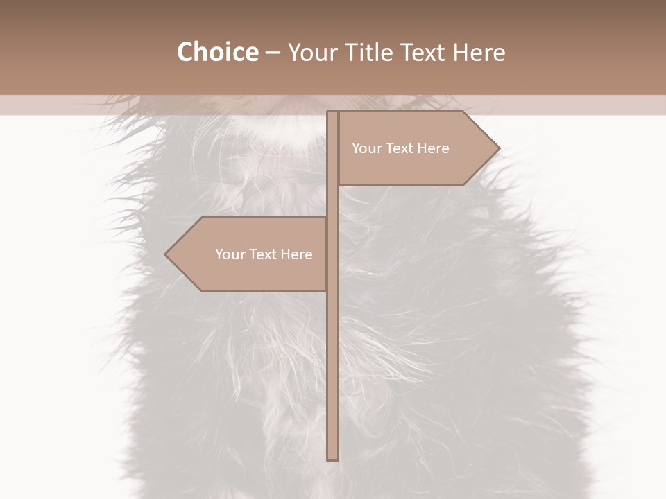 Cute Cat Adorable PowerPoint Template