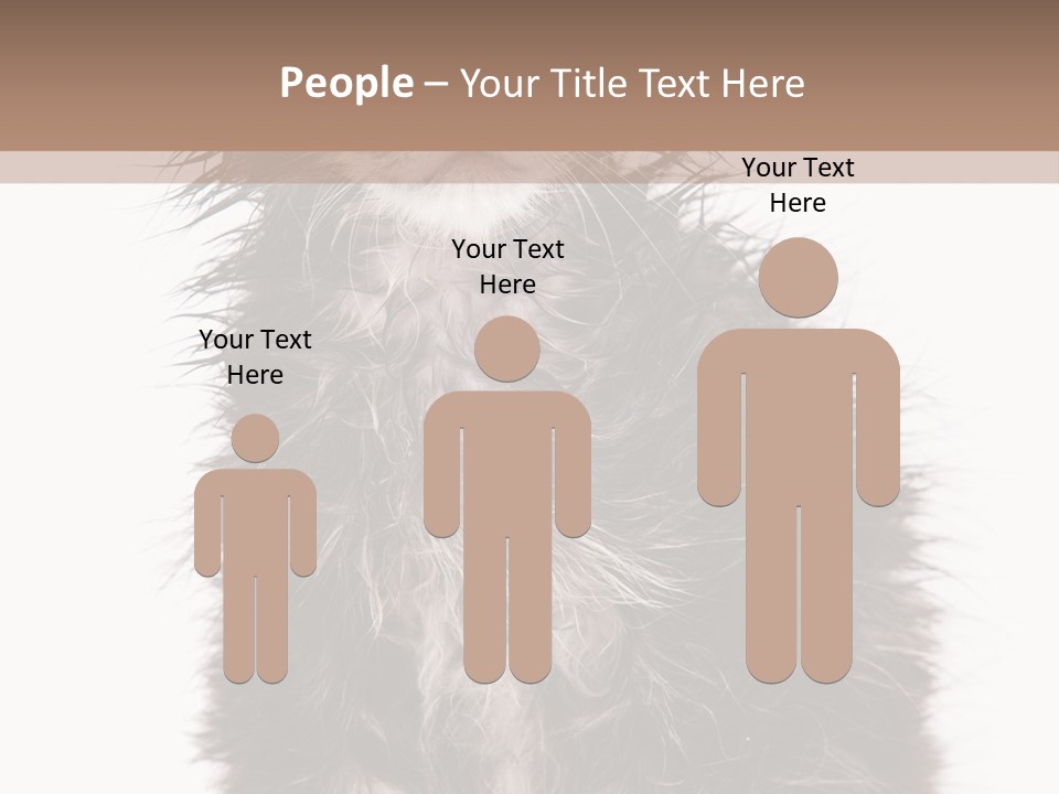 Cute Cat Adorable PowerPoint Template