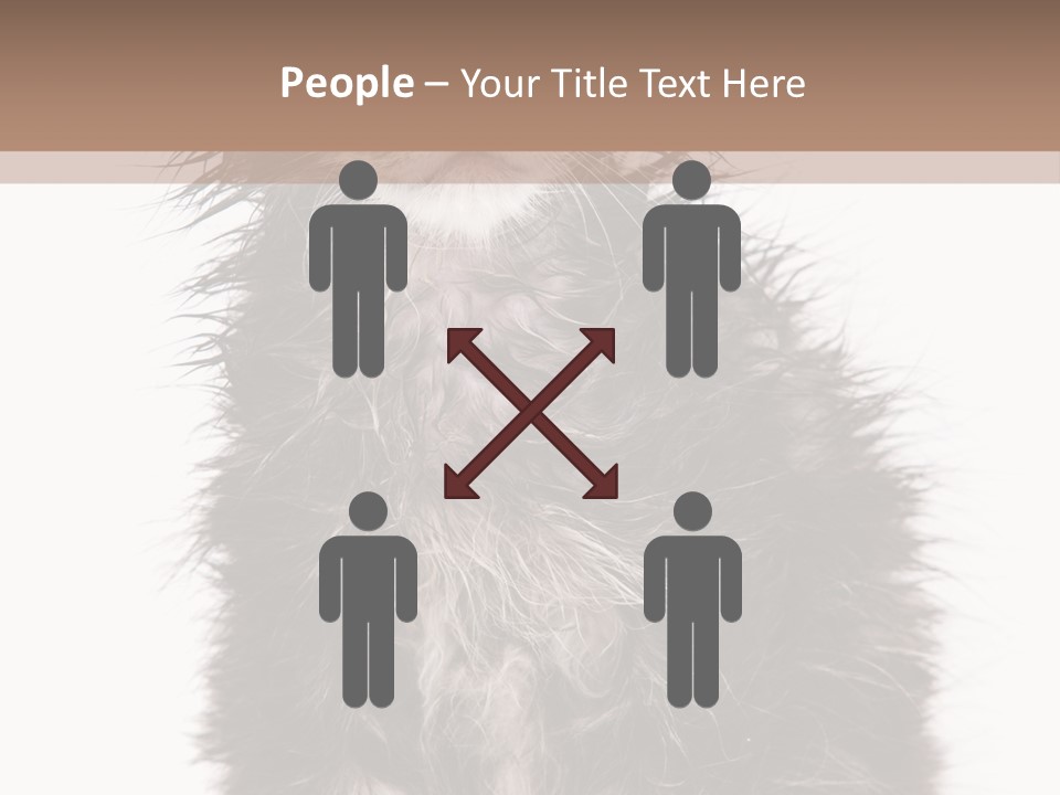 Cute Cat Adorable PowerPoint Template