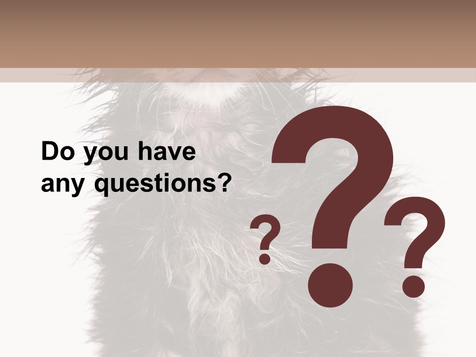 Cute Cat Adorable PowerPoint Template