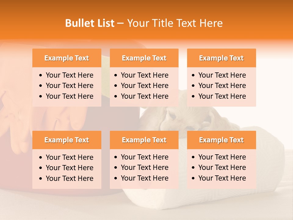 Red Shot Sanitary PowerPoint Template