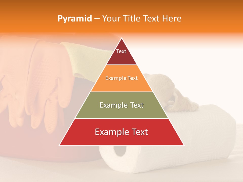 Red Shot Sanitary PowerPoint Template