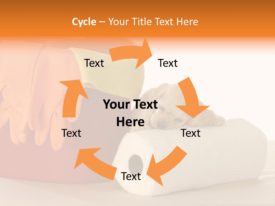 Red Shot Sanitary PowerPoint Template