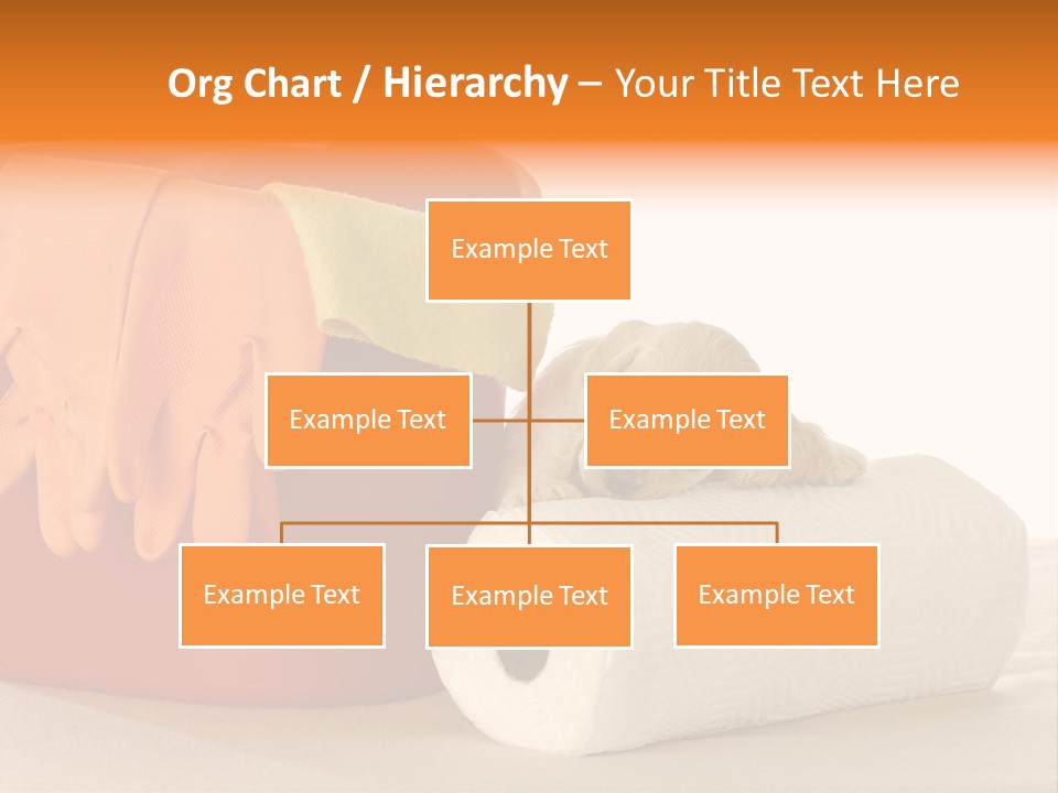 Red Shot Sanitary PowerPoint Template
