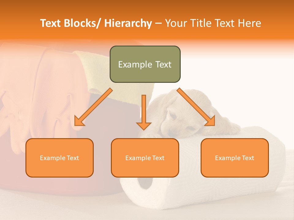 Red Shot Sanitary PowerPoint Template
