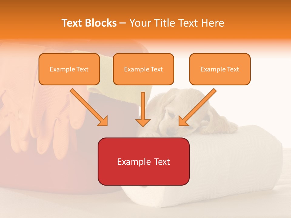 Red Shot Sanitary PowerPoint Template