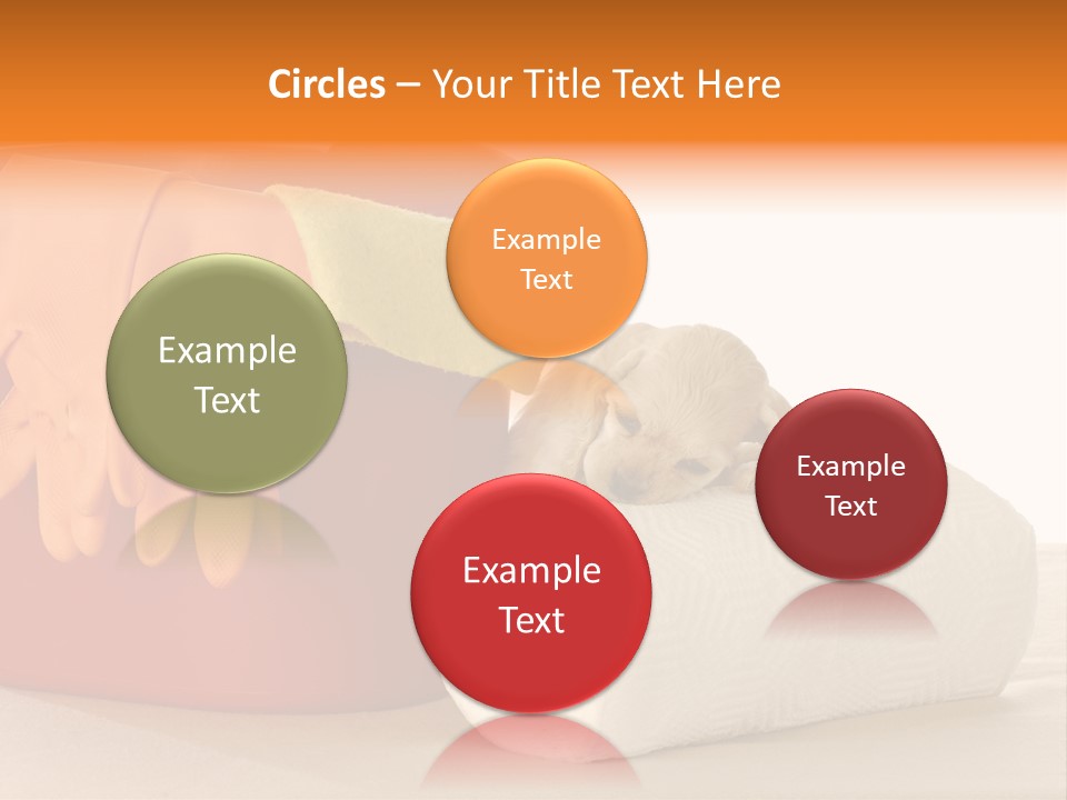 Red Shot Sanitary PowerPoint Template