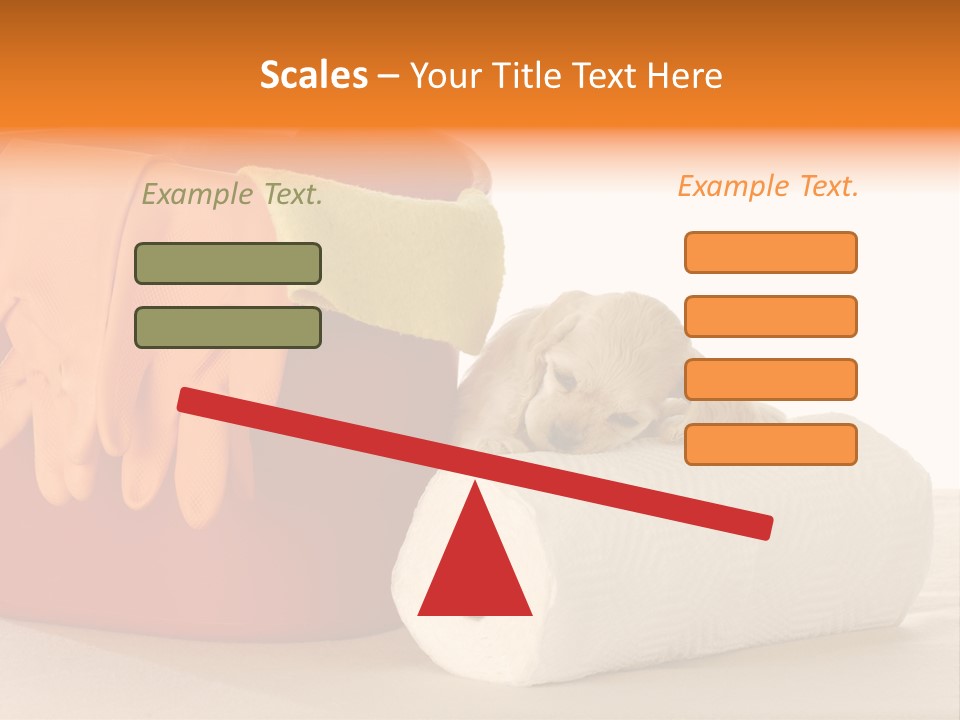 Red Shot Sanitary PowerPoint Template