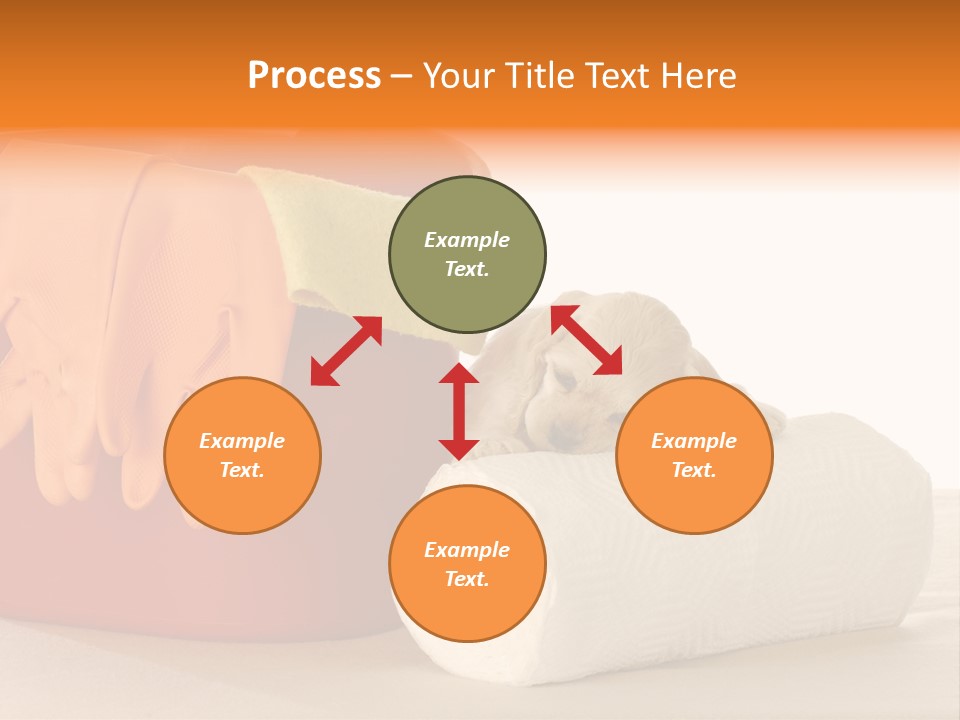Red Shot Sanitary PowerPoint Template