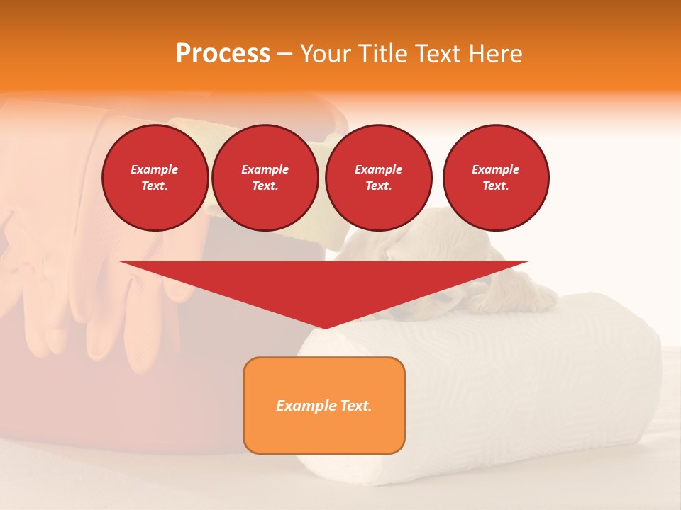 Red Shot Sanitary PowerPoint Template