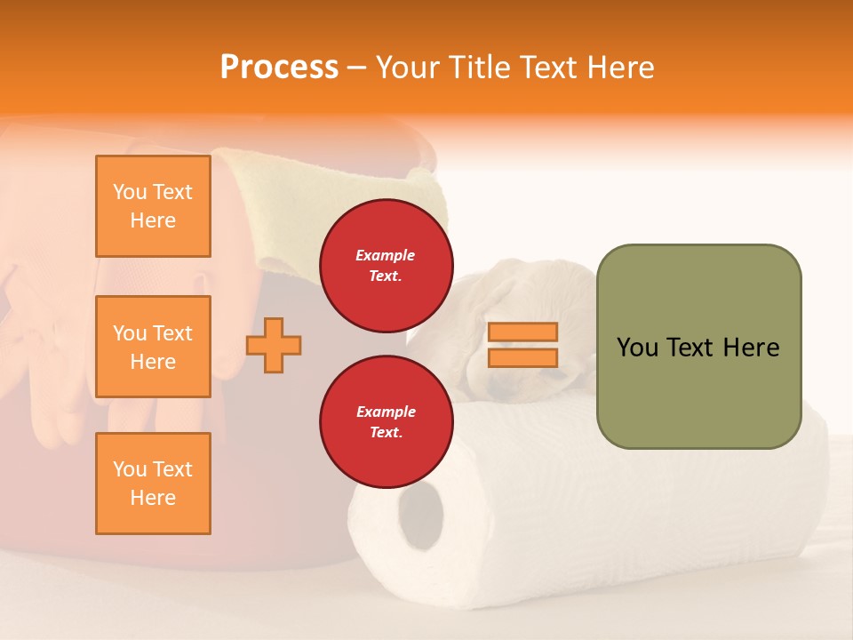 Red Shot Sanitary PowerPoint Template