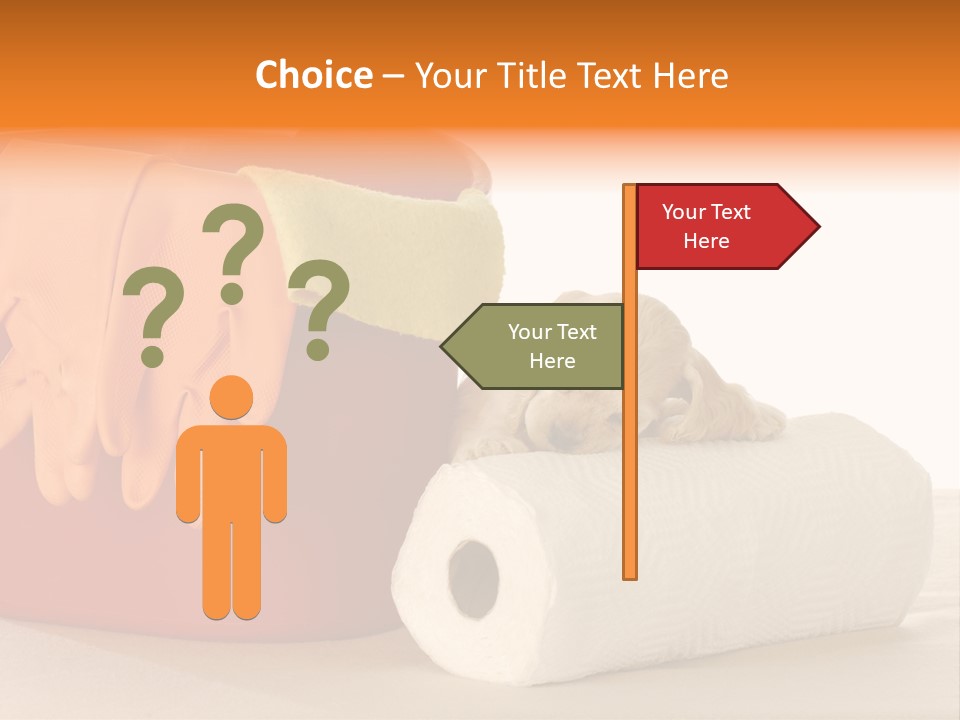 Red Shot Sanitary PowerPoint Template