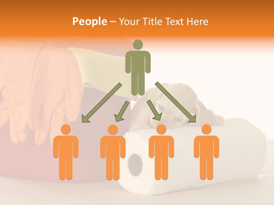 Red Shot Sanitary PowerPoint Template