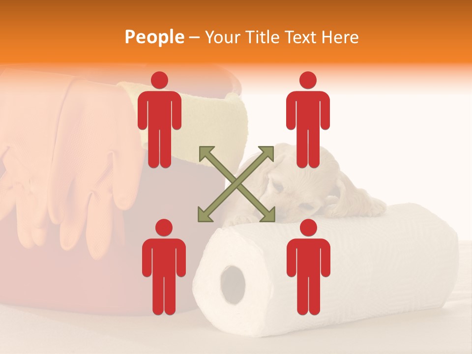 Red Shot Sanitary PowerPoint Template