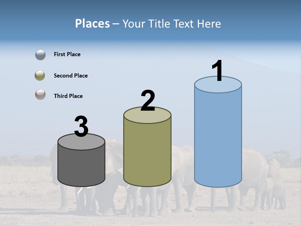 A Herd Of Elephants Standing In Front Of A Mountain PowerPoint Template