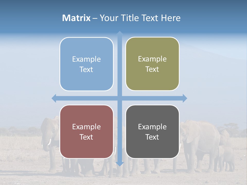 A Herd Of Elephants Standing In Front Of A Mountain PowerPoint Template