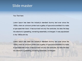 A Herd Of Elephants Standing In Front Of A Mountain PowerPoint Template