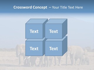 A Herd Of Elephants Standing In Front Of A Mountain PowerPoint Template