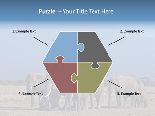 A Herd Of Elephants Standing In Front Of A Mountain PowerPoint Template