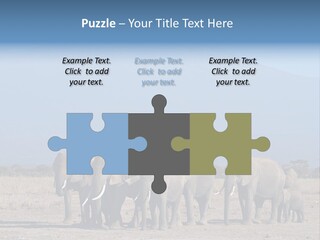 A Herd Of Elephants Standing In Front Of A Mountain PowerPoint Template