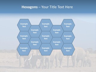 A Herd Of Elephants Standing In Front Of A Mountain PowerPoint Template