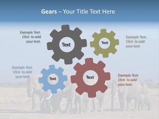 A Herd Of Elephants Standing In Front Of A Mountain PowerPoint Template