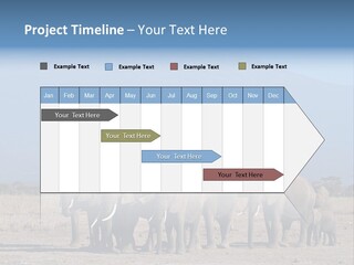 A Herd Of Elephants Standing In Front Of A Mountain PowerPoint Template