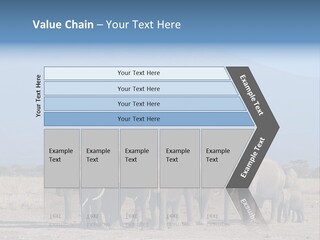 A Herd Of Elephants Standing In Front Of A Mountain PowerPoint Template