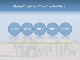 A Herd Of Elephants Standing In Front Of A Mountain PowerPoint Template