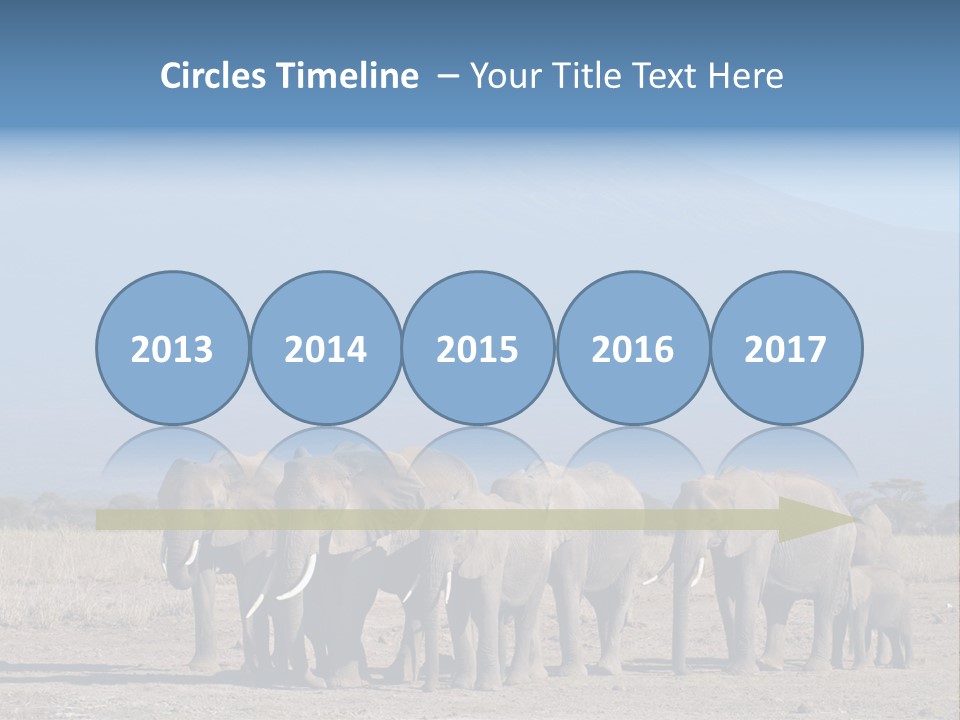 A Herd Of Elephants Standing In Front Of A Mountain PowerPoint Template